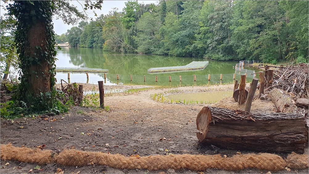 ploetzensee_zaun07.jpg