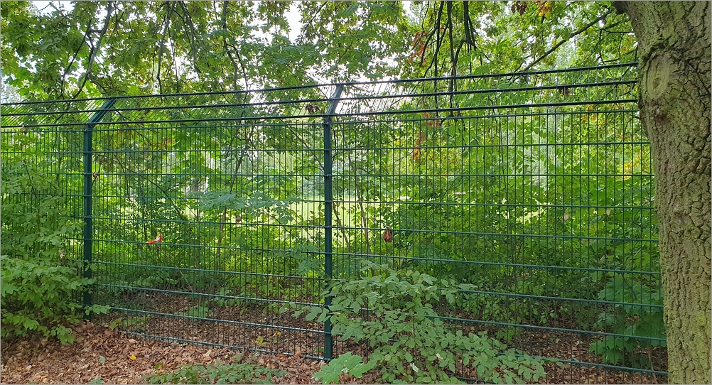 ploetzensee_zaun09.jpg