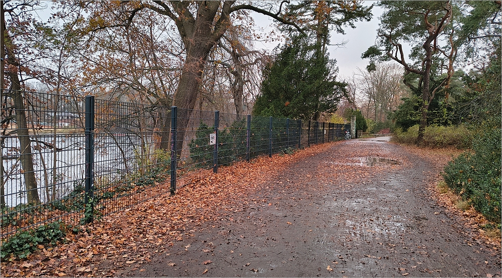ploetzensee_nord01.jpg