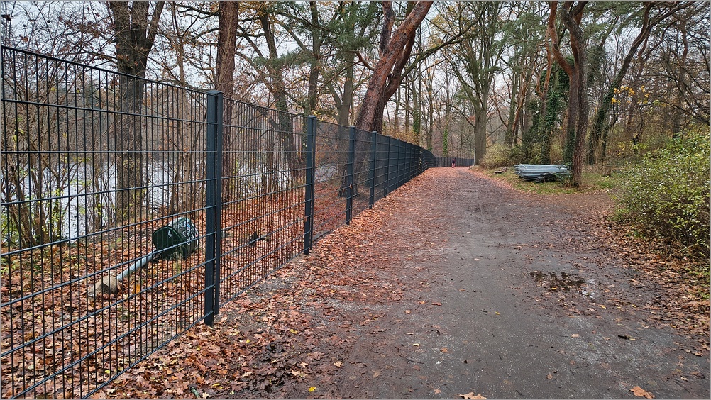 ploetzensee_nord03.jpg
