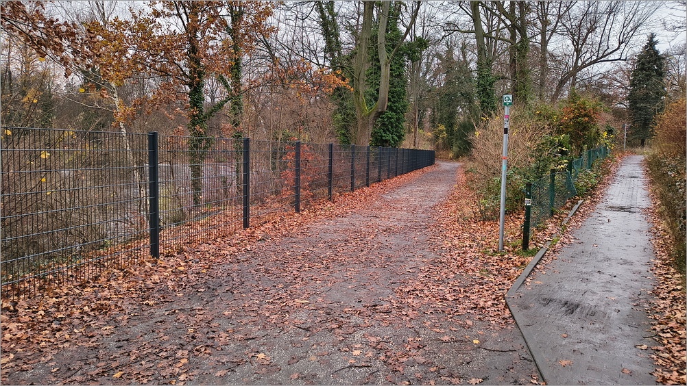 ploetzensee_nord05.jpg