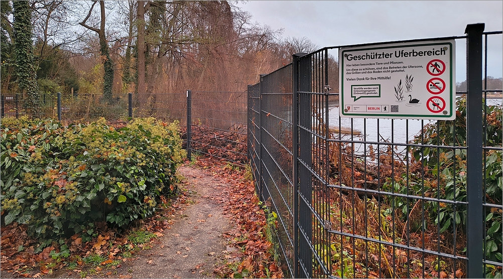 ploetzensee_nord08.jpg