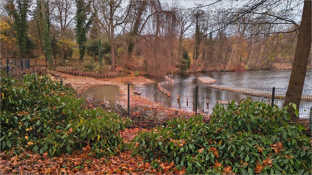 ploetzensee_nord09.jpg