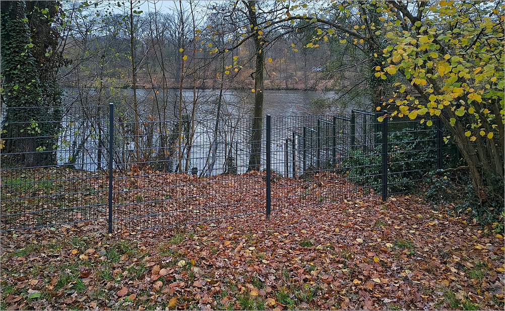 ploetzensee_nord12.jpg