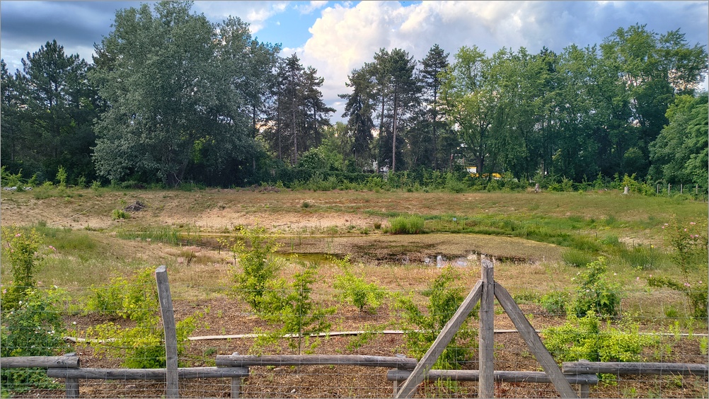 biotop_napoleonkai04.jpg