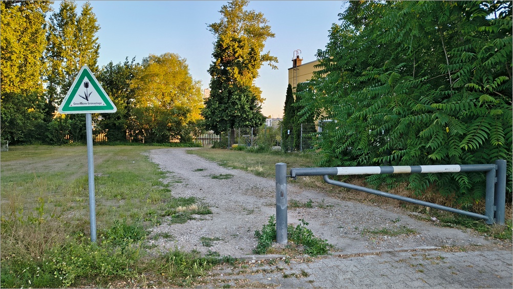 spandauer_horn00.jpg