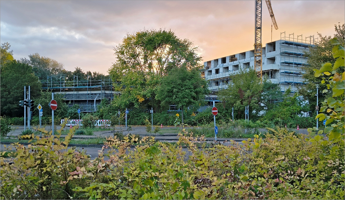 aldi_schoenholz02.jpg