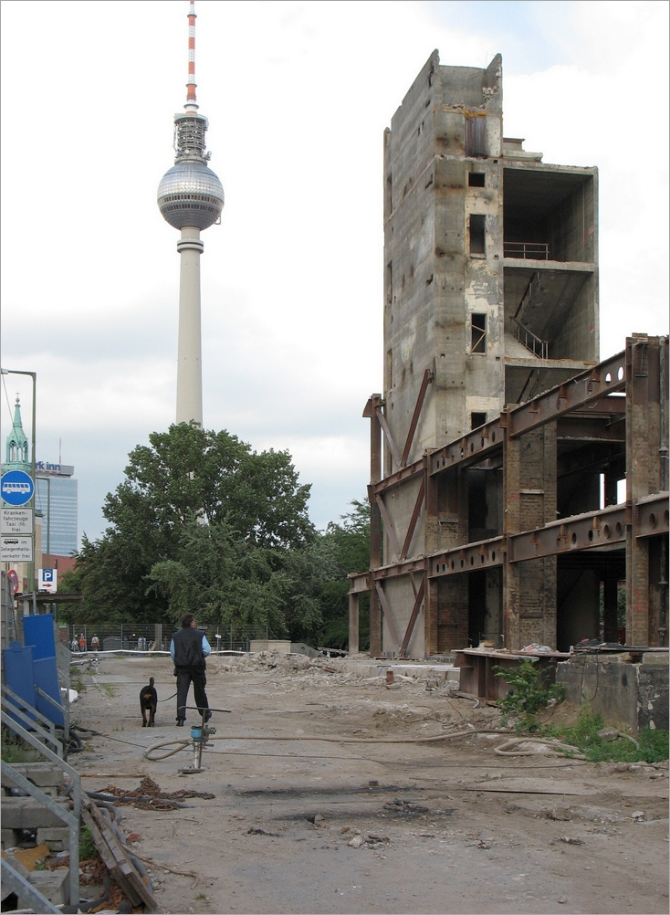 abriss_republikpalast06.jpg