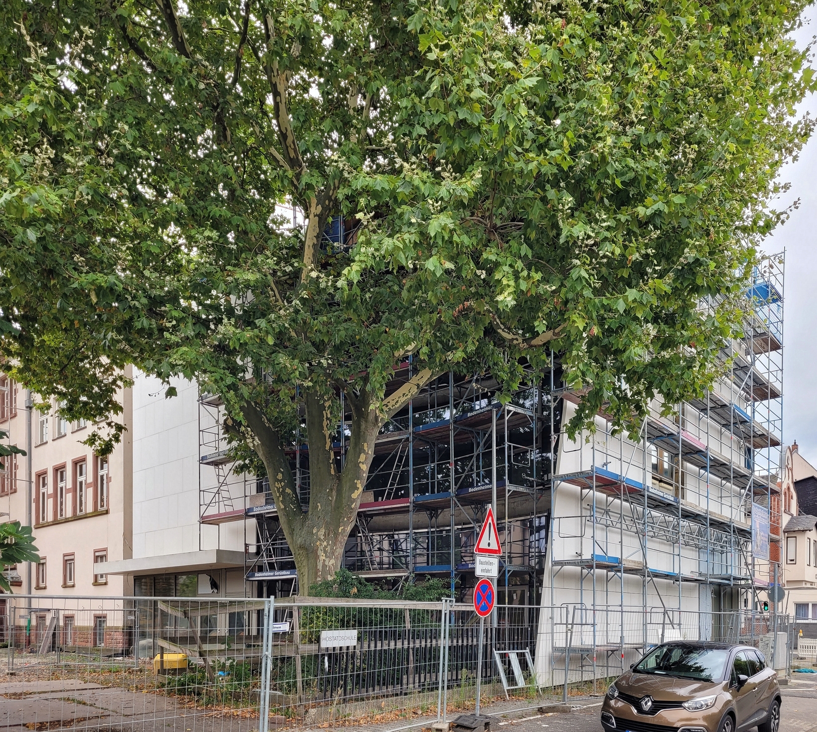 6250_hostatoschule.jpg