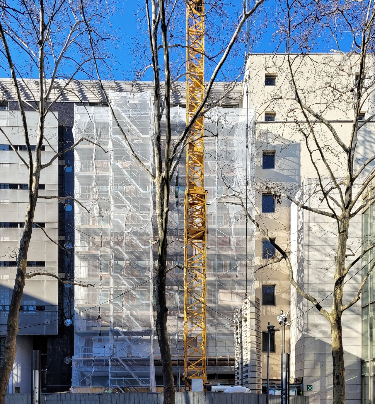 6397_zeil_77_sued.jpg