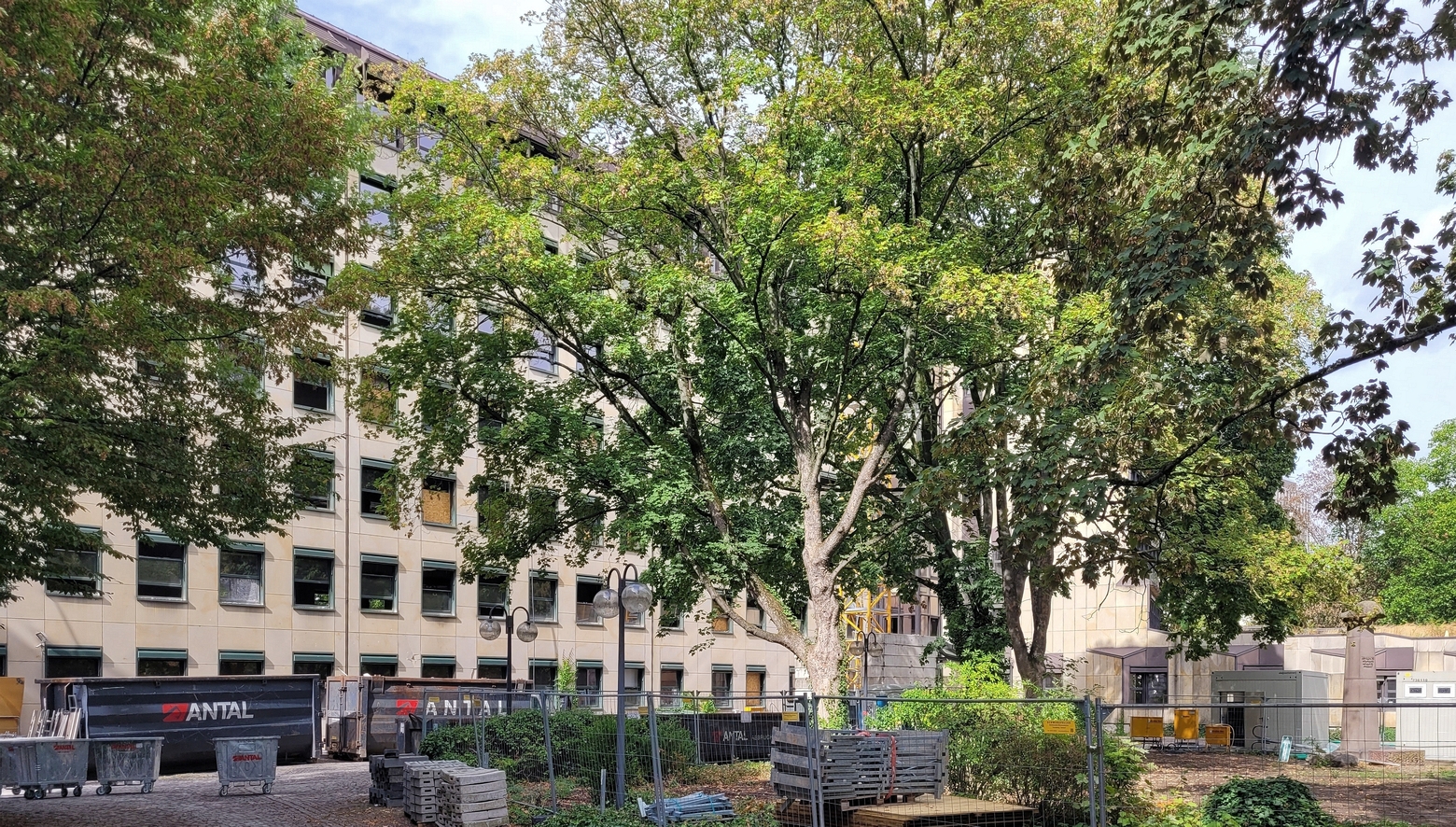 6736_projekt_haydn_am_mozartplatz.jpg